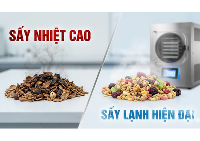 hinh-minh-hoa-su-khac-nhau-giua-say-lanh-va-say-nhiet-cua-ngu-coc-nhap-khau